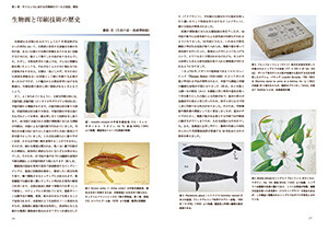 展示解説書26ページと27ページ