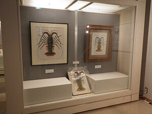 1. ようこそ静物画の世界へ(展示の導入部)