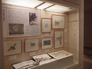 5人の「生物画の達人」3