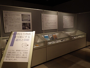1. ようこそ静物画の世界へ(サイエンスにおける生物画2)