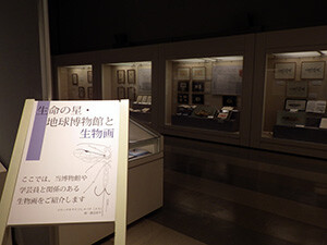 2. 博物館と生物画1