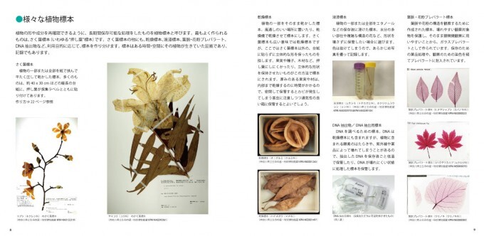 植物誌展図録1