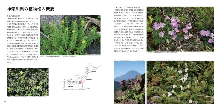 植物誌展図録2