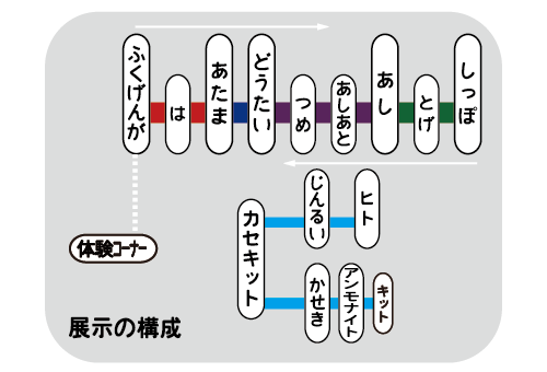 展示構成