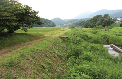 satoyama.jpg
