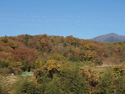 satoyama.jpg