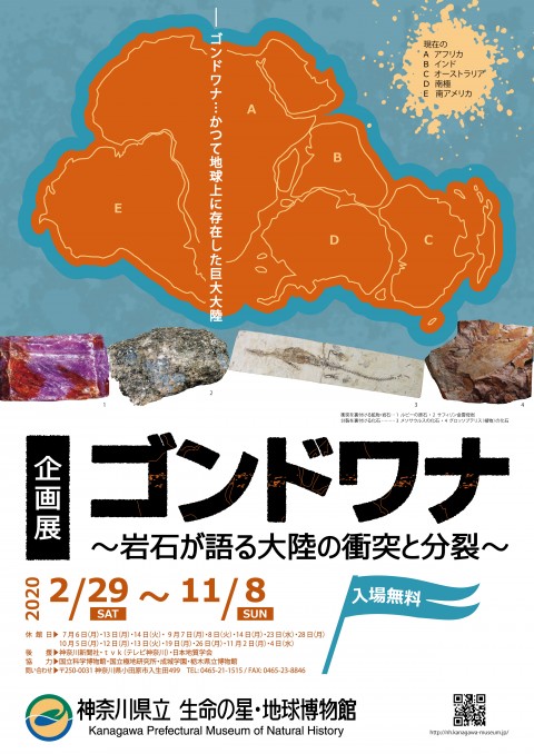 ゴンドワナ ー岩石が語る大陸の衝突と分裂ー 神奈川県立生命の星 地球博物館