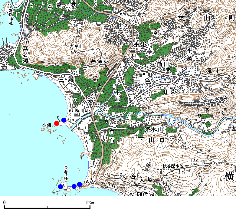 �O�Y�S�t�R����F�̒n�_