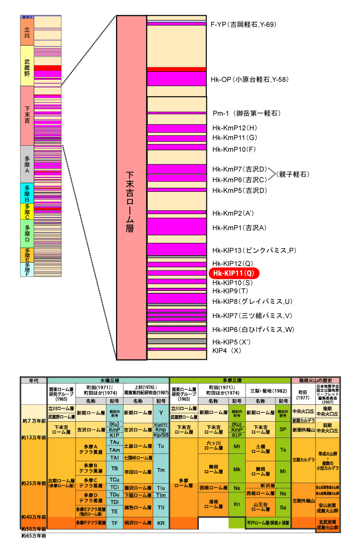 Hk-KlP11(Q)}