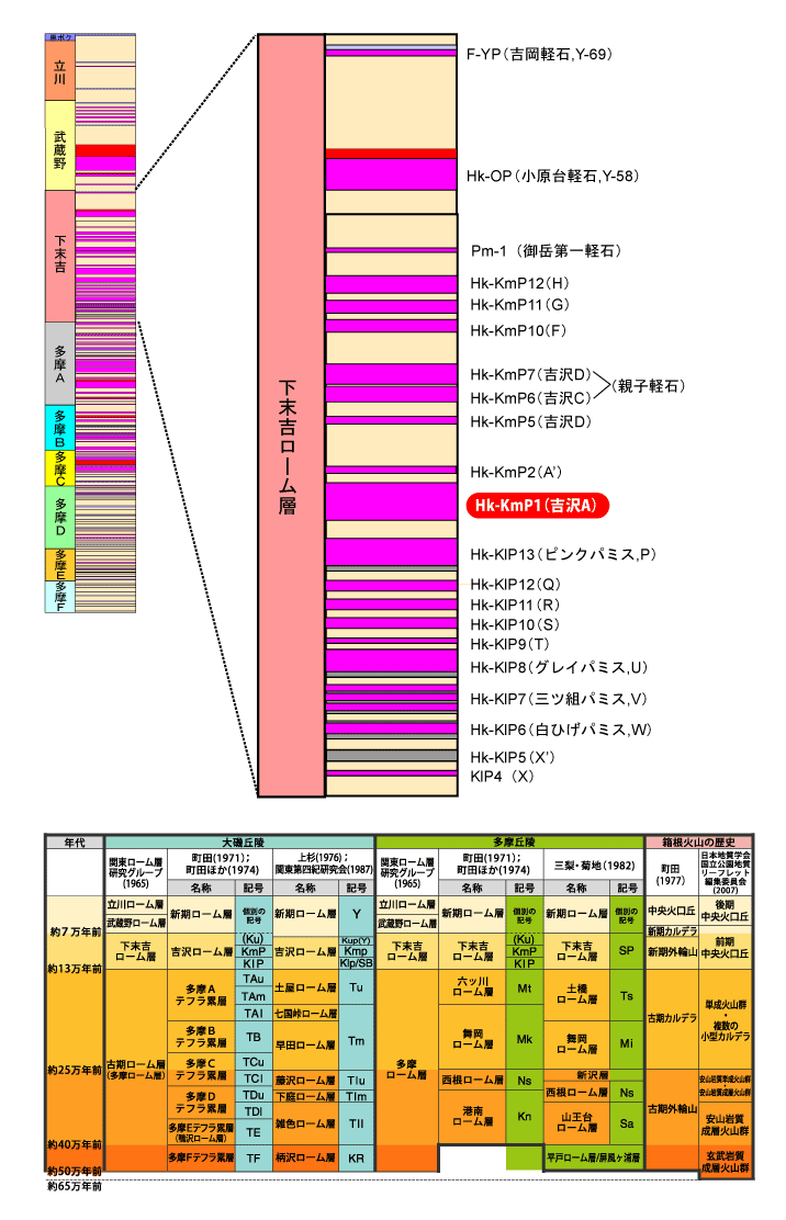 Hk-KmP1(gA)}