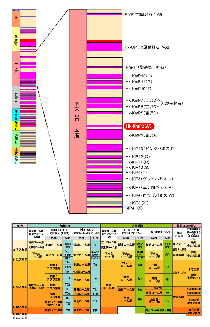 Hk-KmP2(A')}