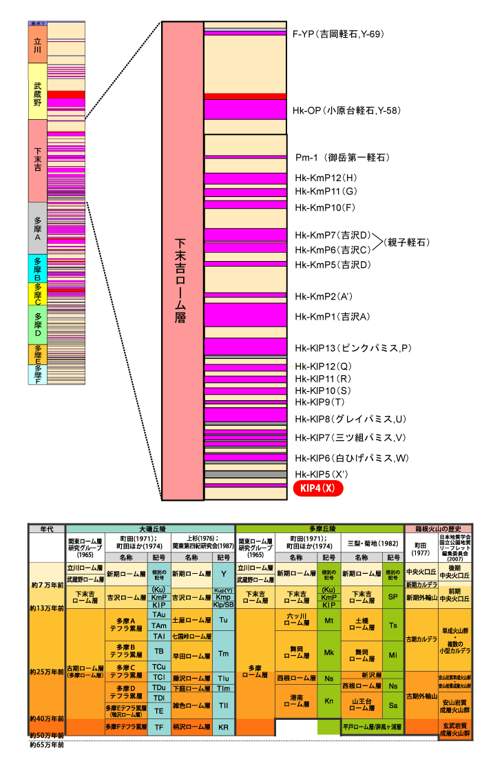 KlP4(X)����}