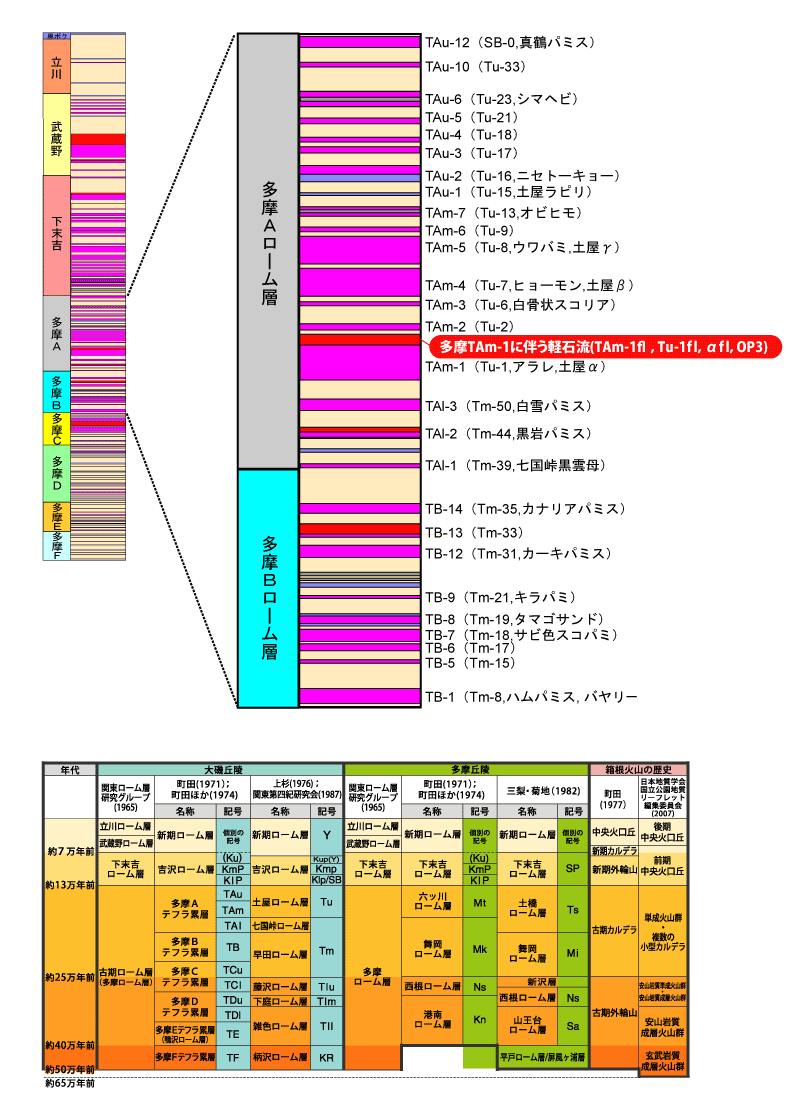 ����TAm-1�ɔ����y�Η�(TAm-1�����CTu-1�����C�������COP3)����}
