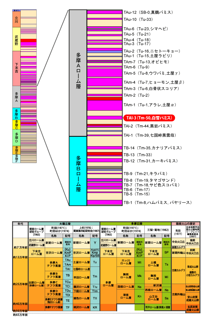 ����TA��-3(Tm-50, ����p�~�X�j����}