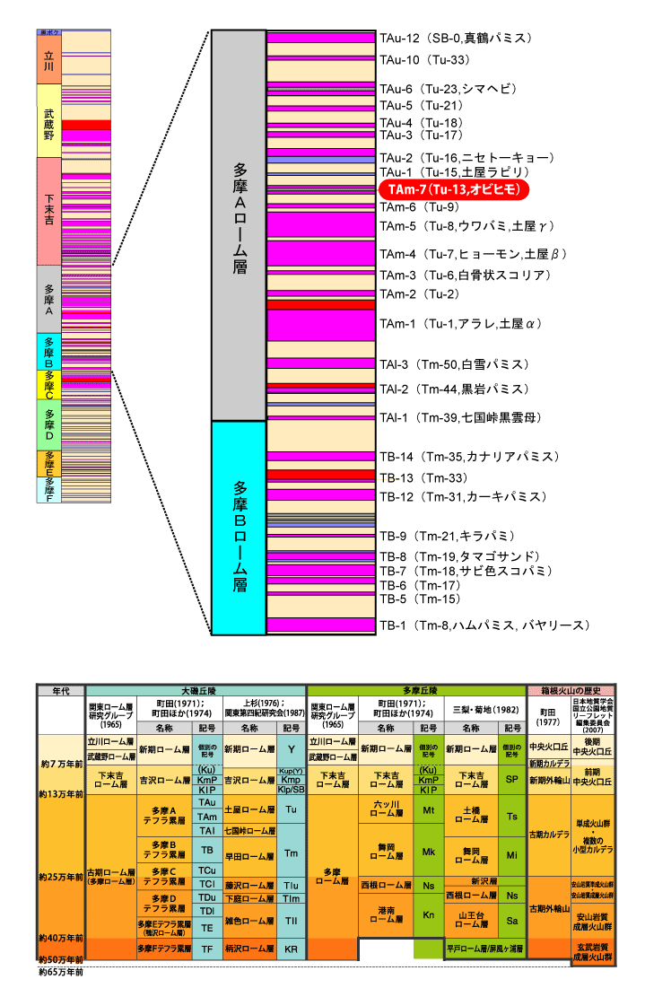 TAm-7(Tu-13,Irq)}