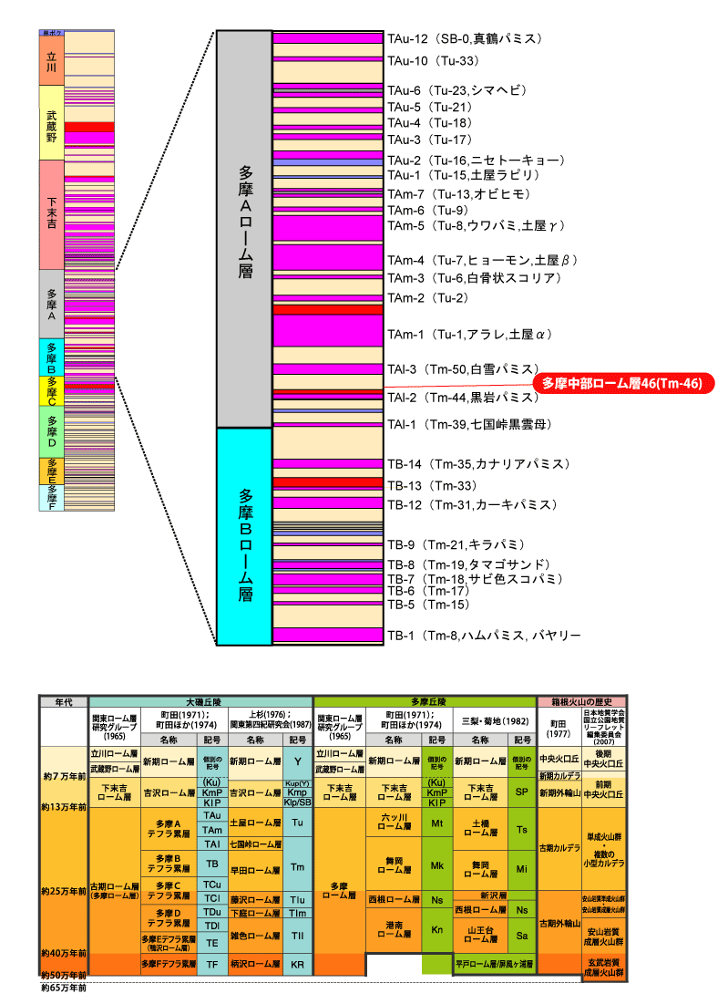 �����������[���w46(Tm-46)����}