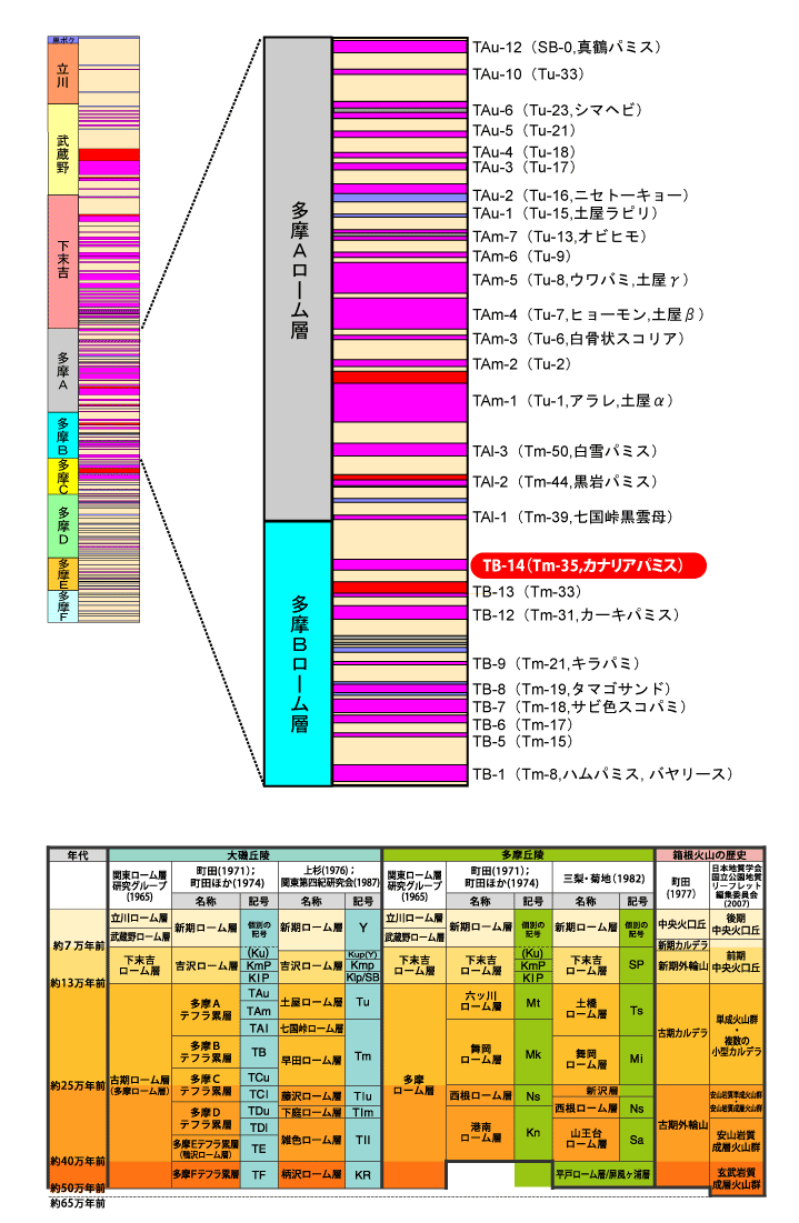 TB-14(Tm-35,JiAp~X)}