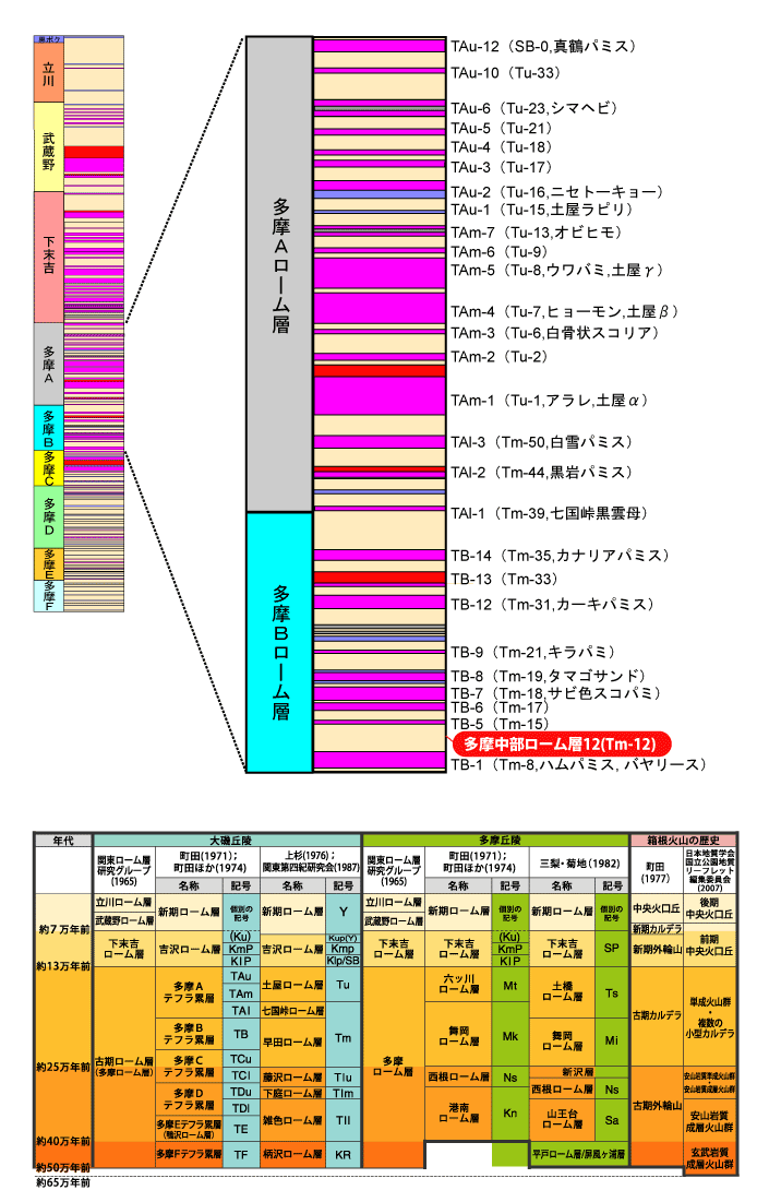 �����������[���w12(Tm-12)����}