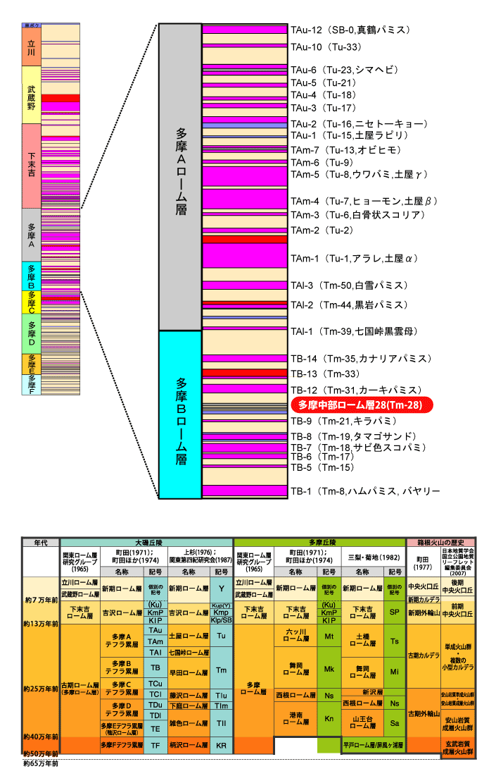 �����������[���w28(Tm-28)����}