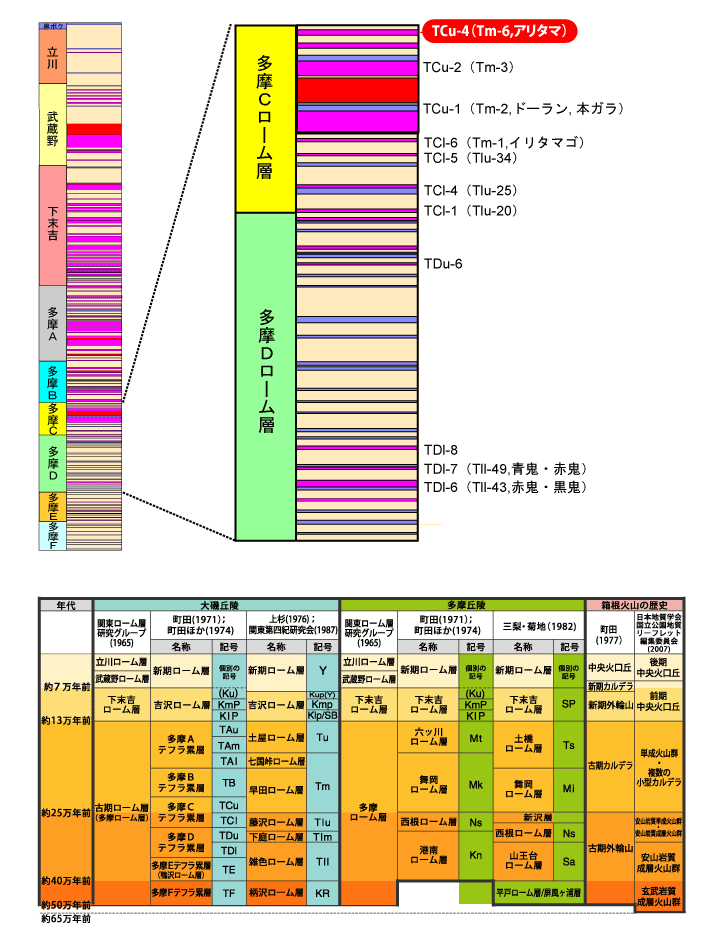 TCu-4(Tm-6,A^})}