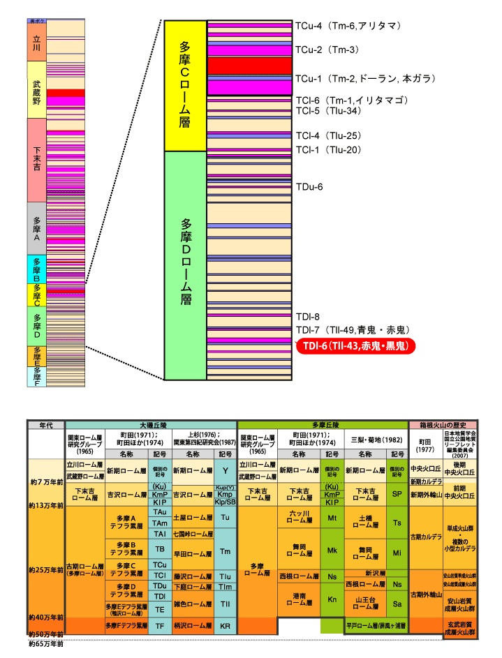 TDl-6(Tll-43,ԋSES)}