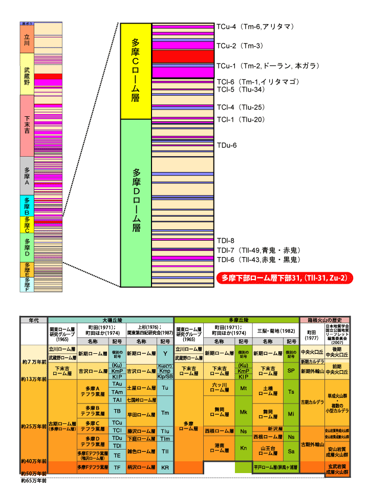 �����������[���w����31(Tll-31�CZu-2)����}