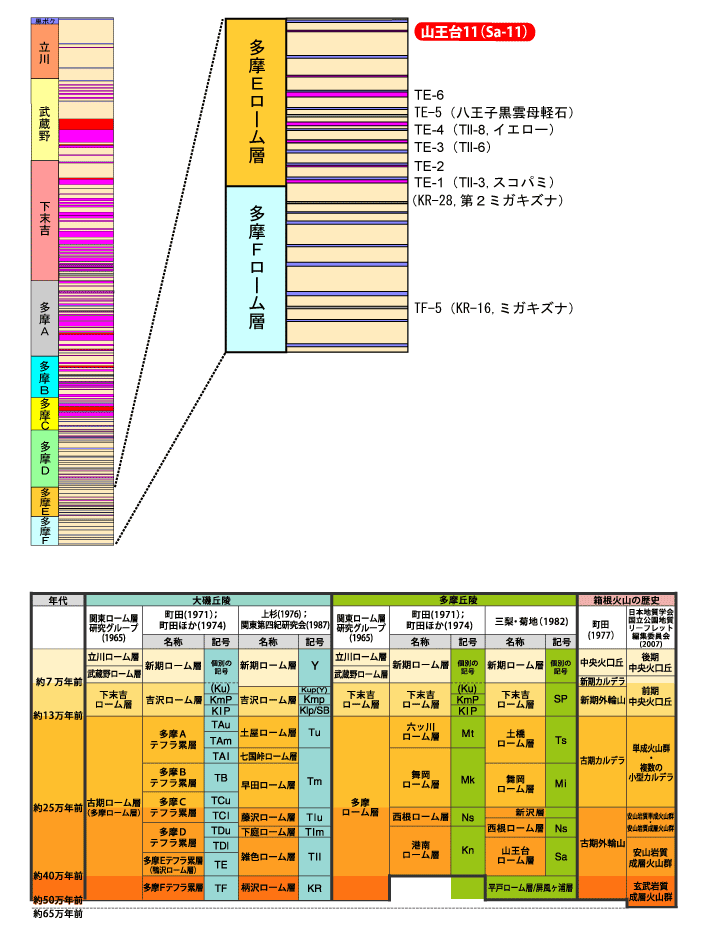 R11(Sa-11)}