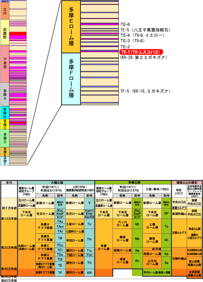 TE-1(Tll-3,XRp~)}
