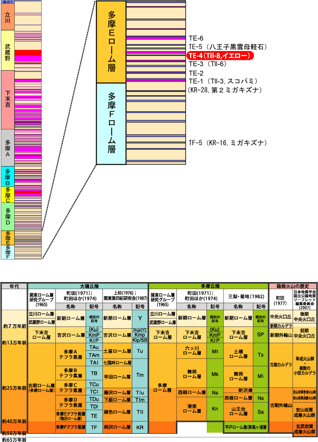 TE-4(Tll-8,CG[)}
