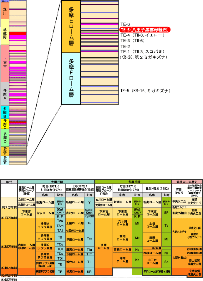TE-5(q_y)}