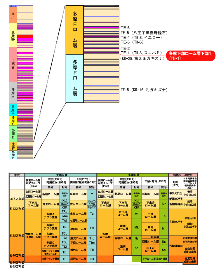 �����������[���w����1(Tll-1)����}