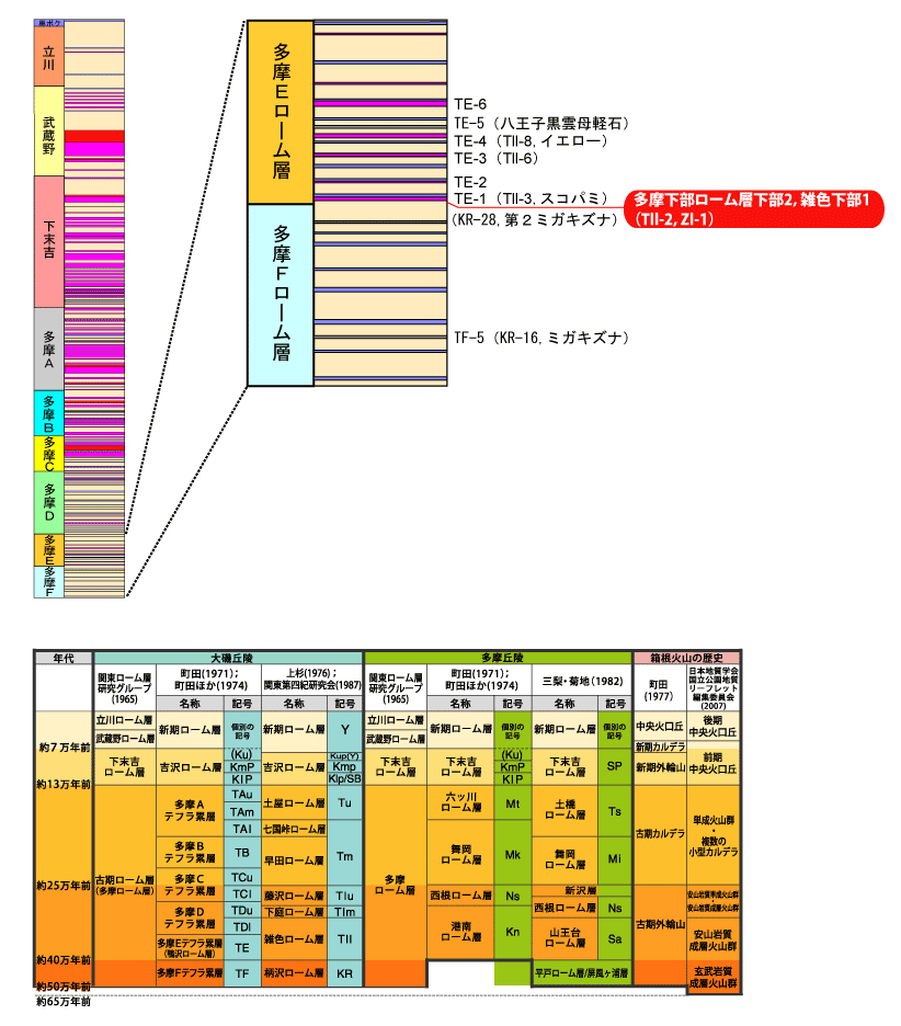 �����������[���w����2�C�G�F����1(Tll-2�CZl-1)����}<
