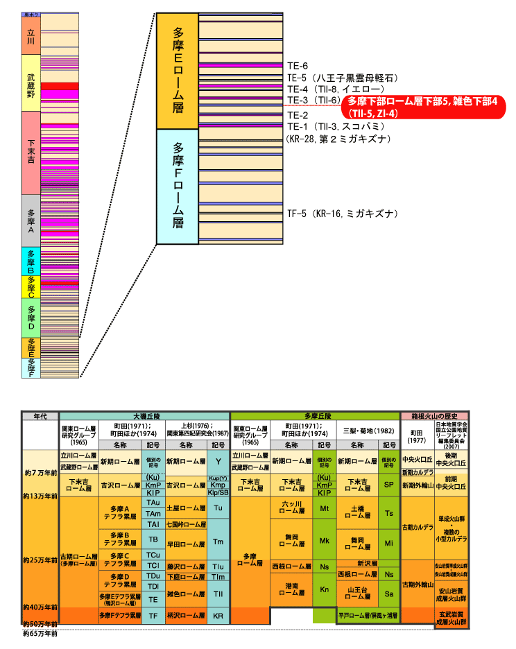 �����������[���w����5�C�G�F����4(Tll-5�CZl-4)����}