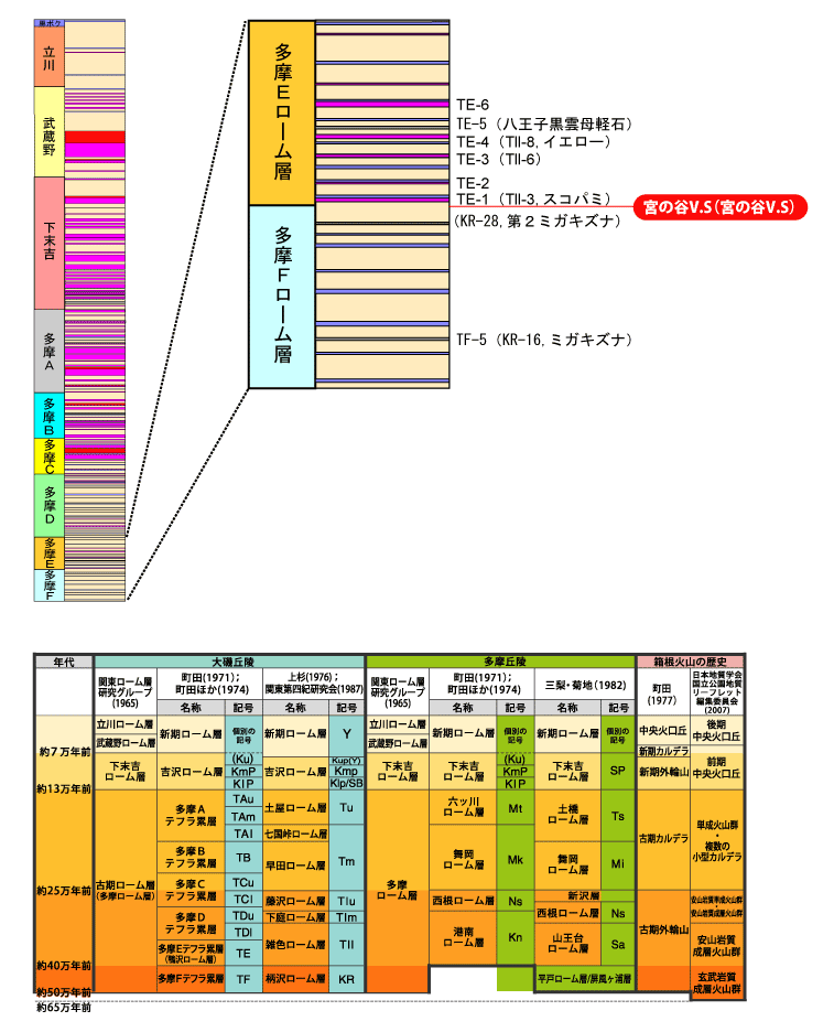 �{�̒JV.S(�{�̒JV.S)����}