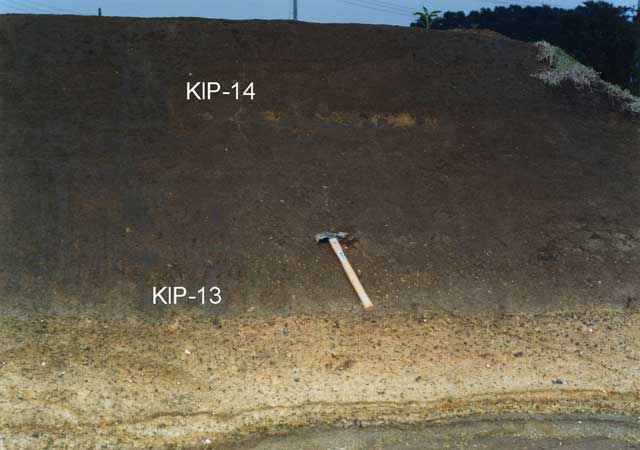 T323