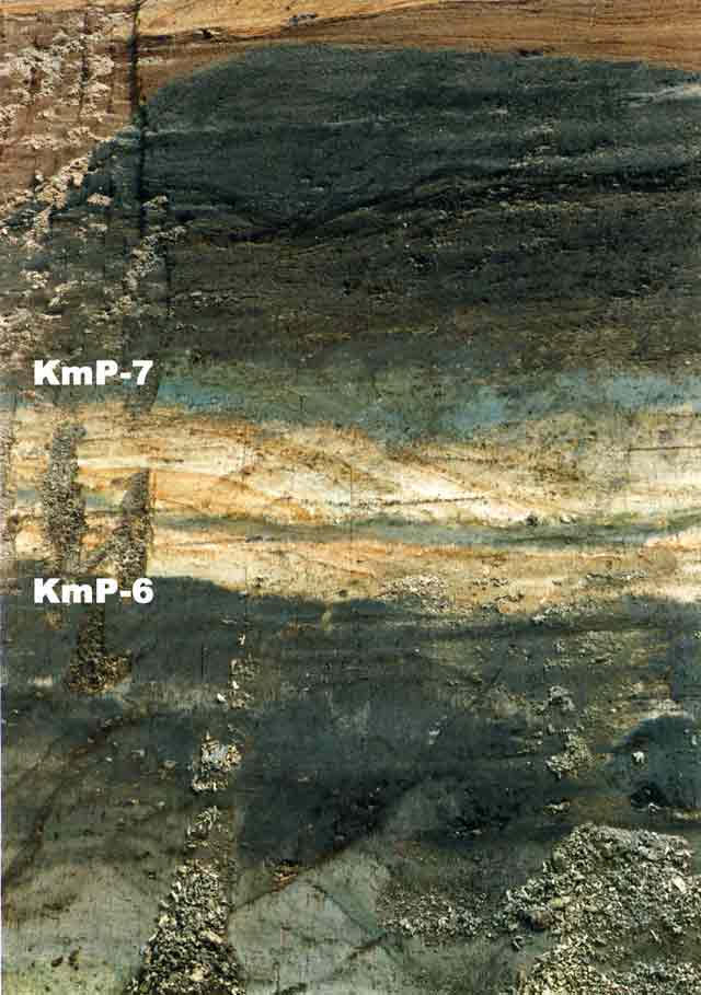T233