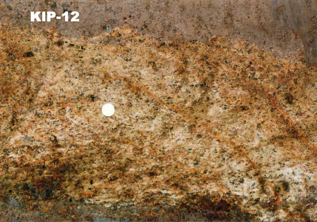 T364