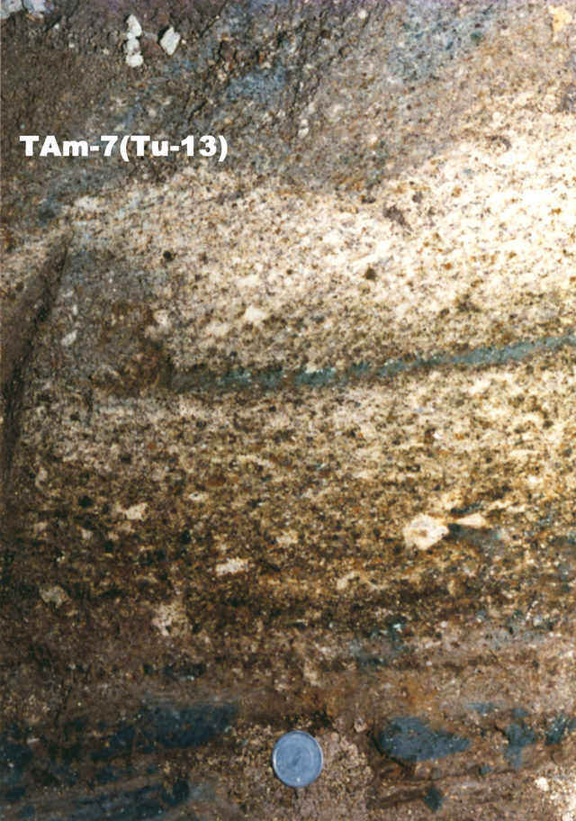 T541