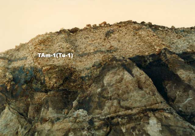 T595