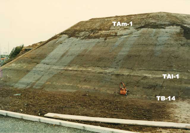T653