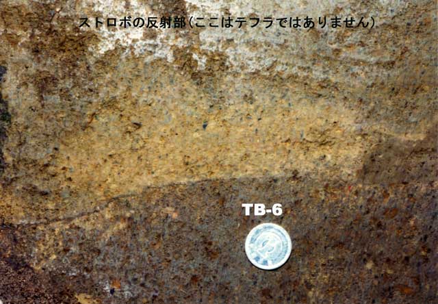 T733