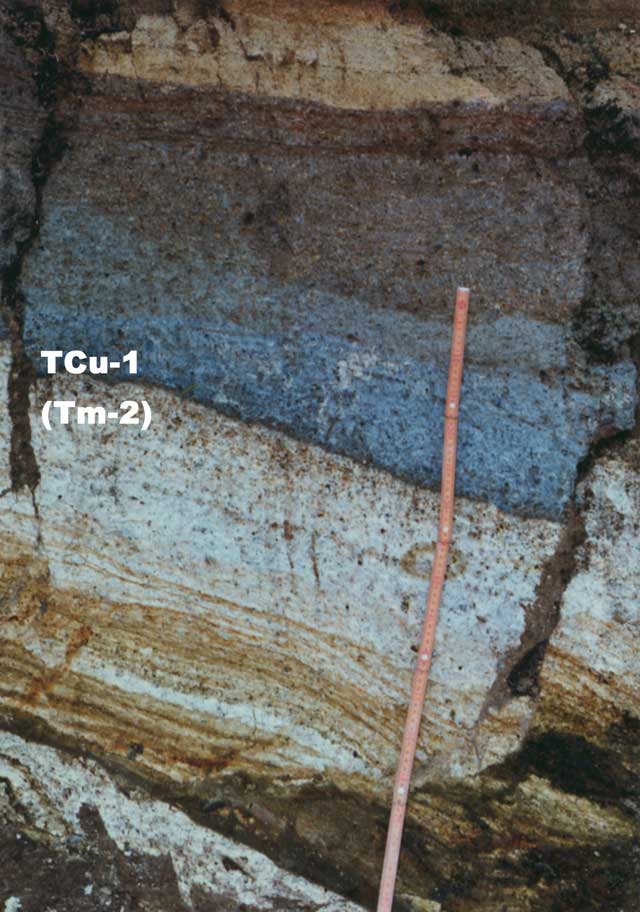 T813