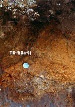 T929