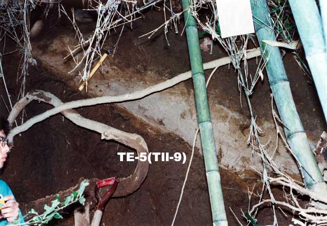 T896