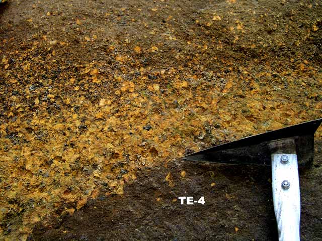 T923