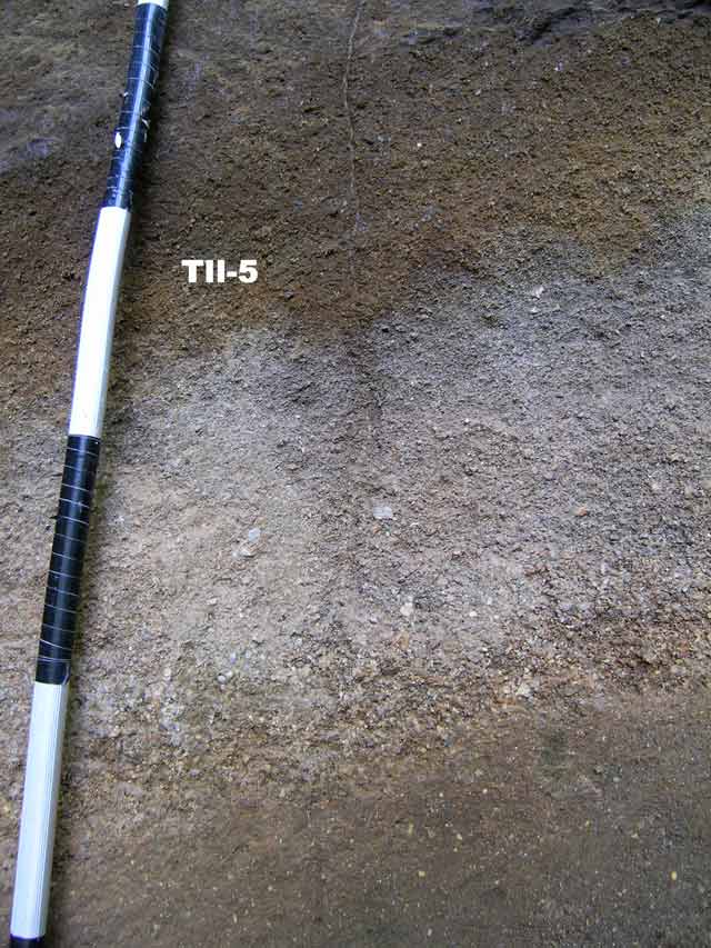 T950