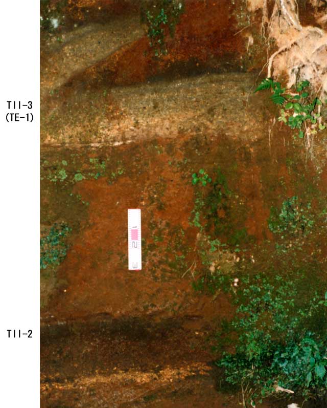 神奈川県足柄上郡中井町鴨沢