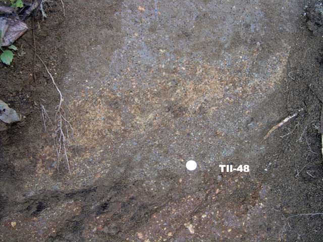 T851