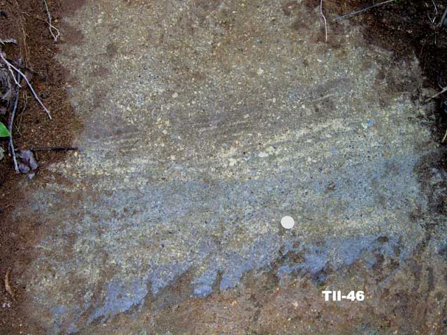 T855
