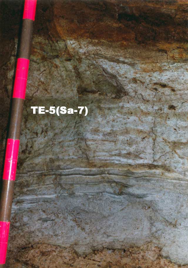 神奈川県横浜市戸塚区上品濃